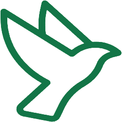 cropped favicon 1.png
